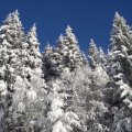 Zillertal+-+Mayrhofen