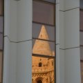 DSC_0341
