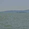 DSC_2358